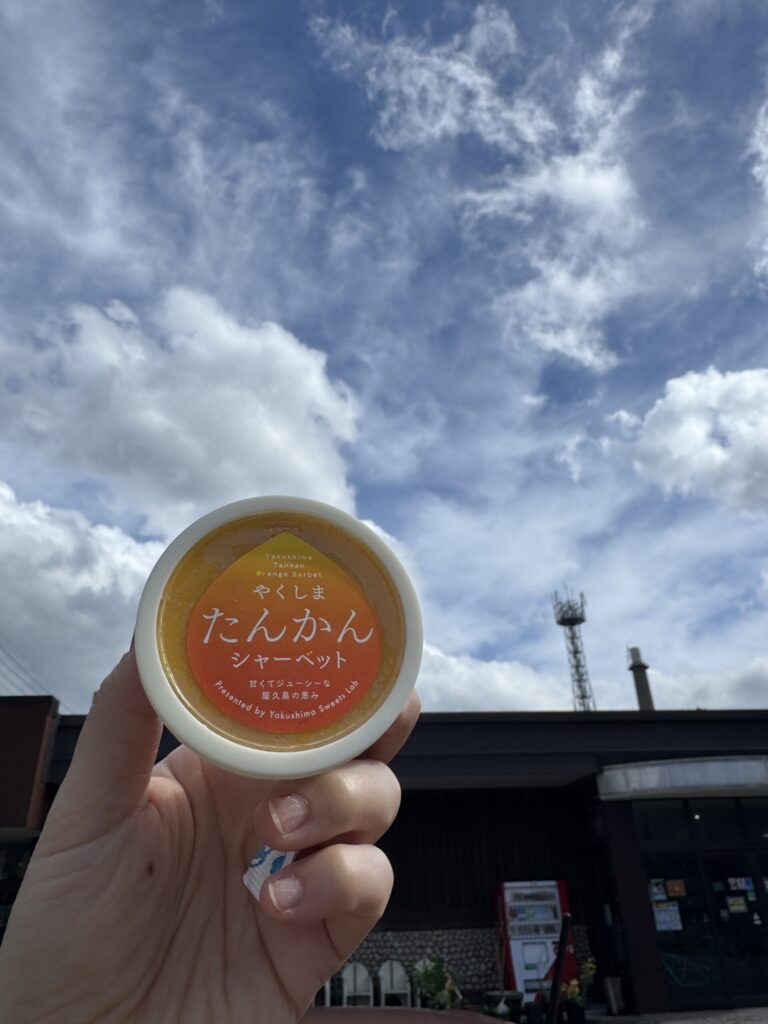 Tankan citrus sherbet — a refreshing local specialty made from Yakushima's sweet tankan oranges