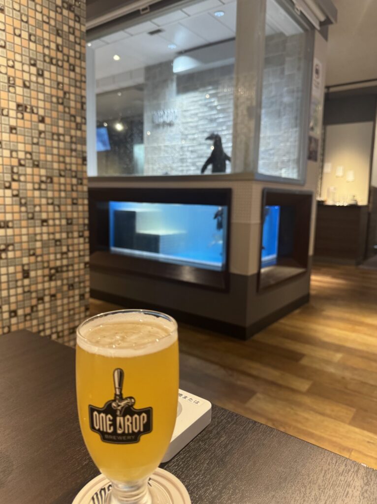 Craft beer next to the penguin tank at ONE DROP, Numazu Port