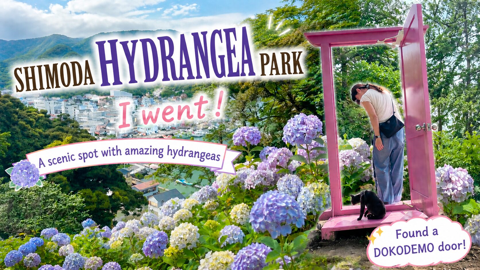 Shimoda Hydrangea Park thumbnail - scenic spot with beautiful ajisai flowers in Izu Japan