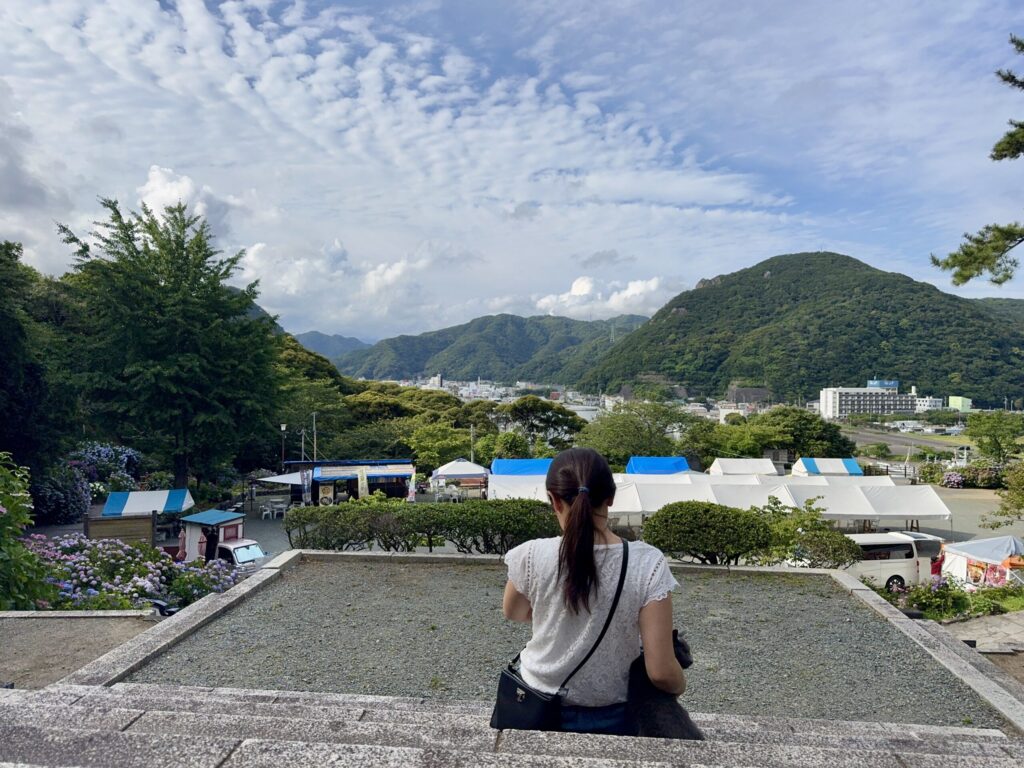 Cat exploring Shimoda Hydrangea Park in Izu Shizuoka Japan