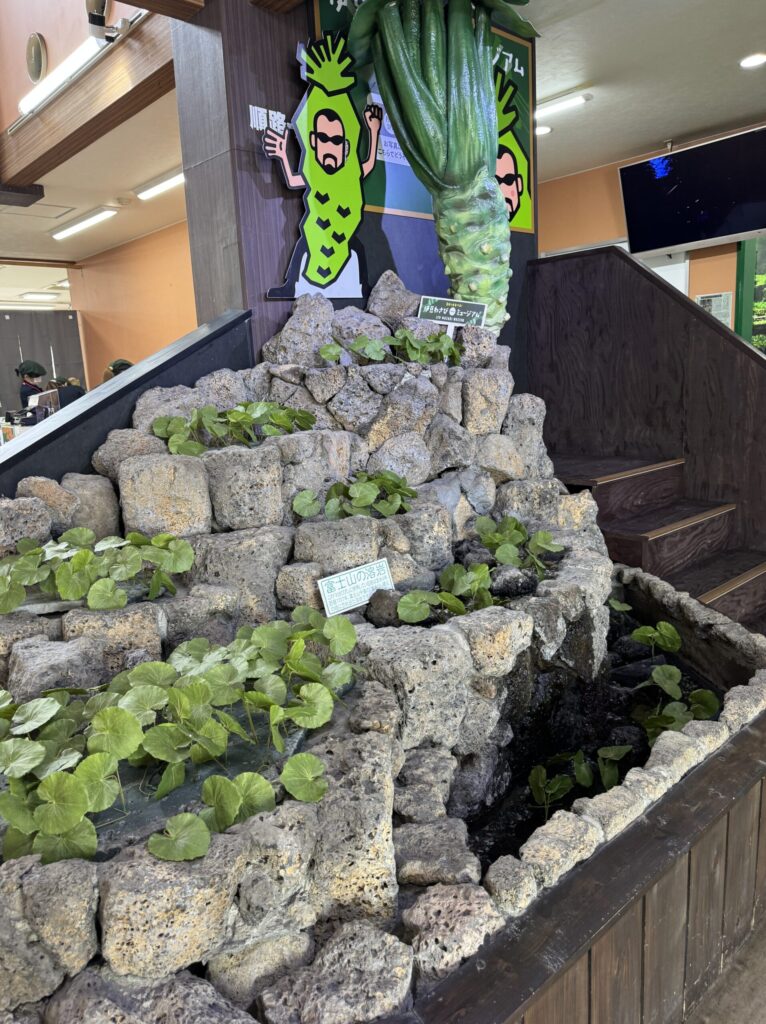 Izu Wasabi Museum by Yamamoto Foods in Kannami, Shizuoka
