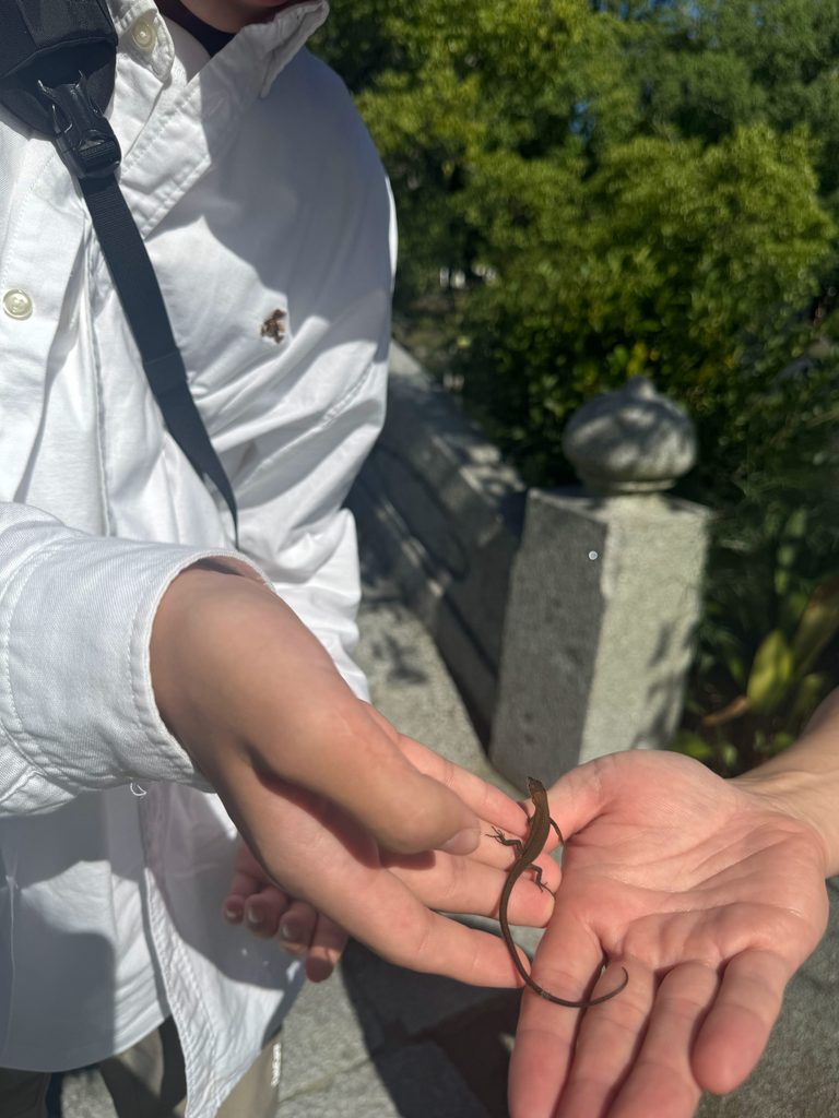 Holding a small keepsake received at Munakata Taisha