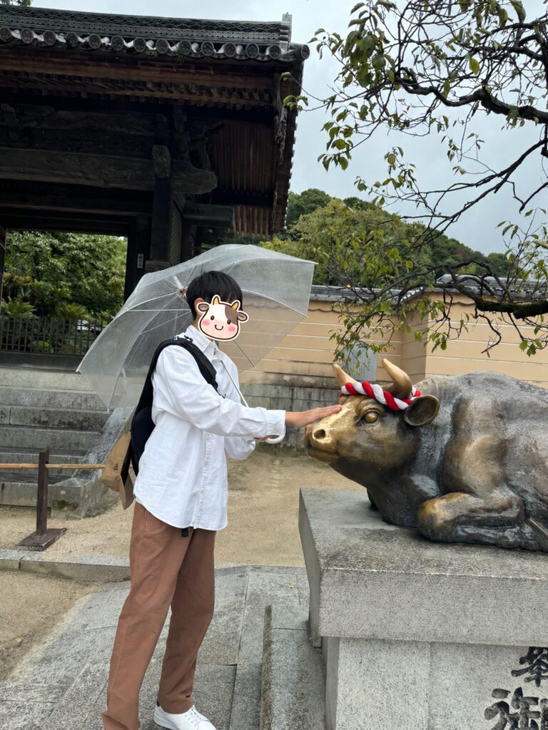 Stroking the bronze Goshingyu sacred cow in the grounds of Dazaifu Tenmangu